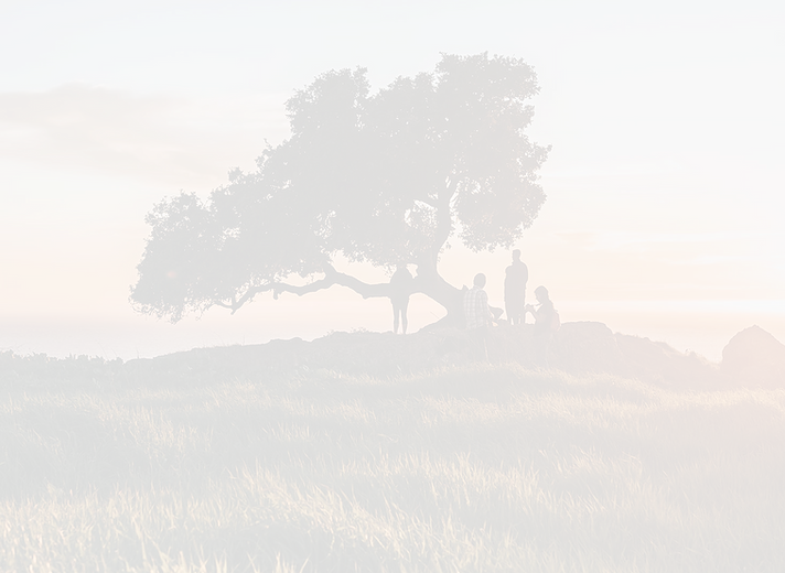 people-near-tree-shore-sunset_edited_edi