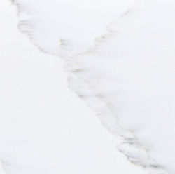 Premiere (Supreme) Largo_VL312