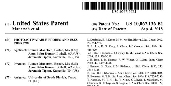 Patent 1.png
