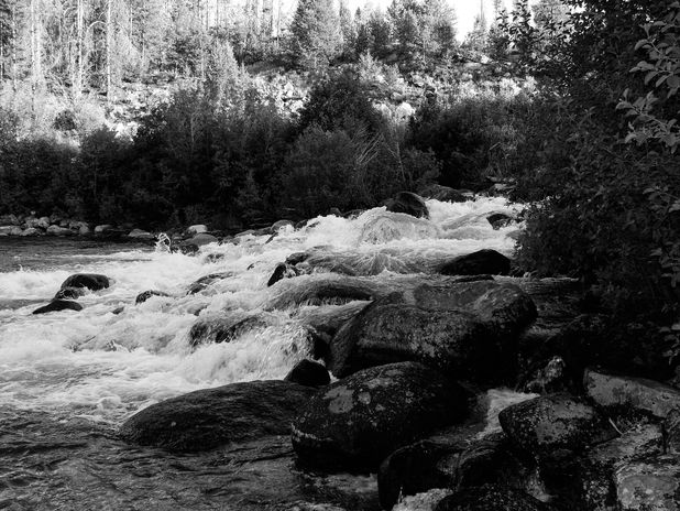 Red Fish Outlet joining the Salmon River in Stanley Idaho