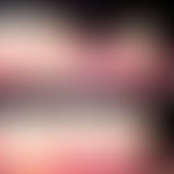 PUENTE FIJO DE CERAMICA