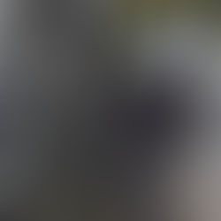 Badgers need our love more than ever