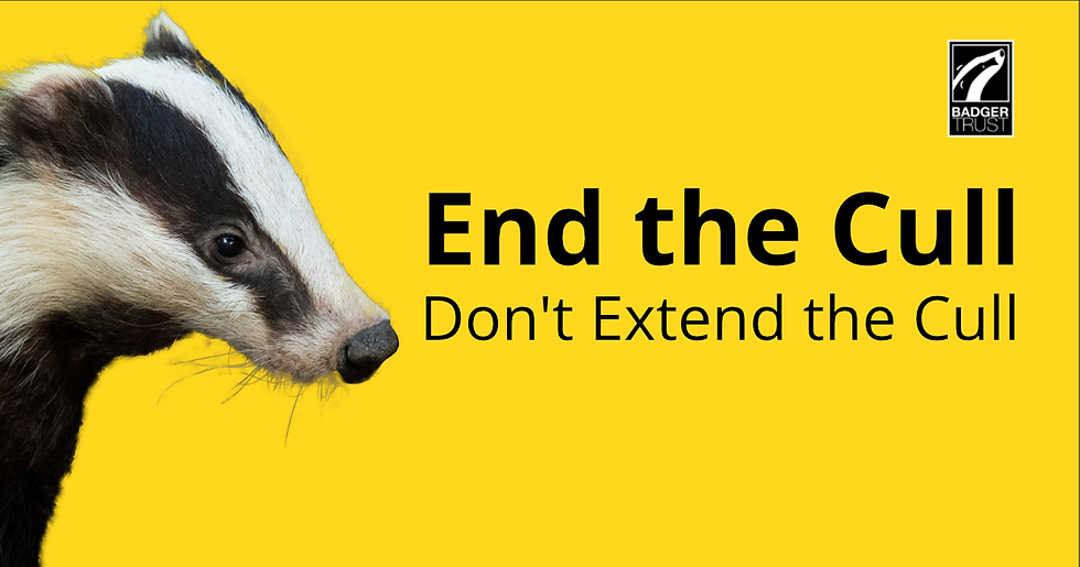 End the Cull don't extend the cull