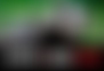 Public urged to help combat badger crime after latest horrific attacks