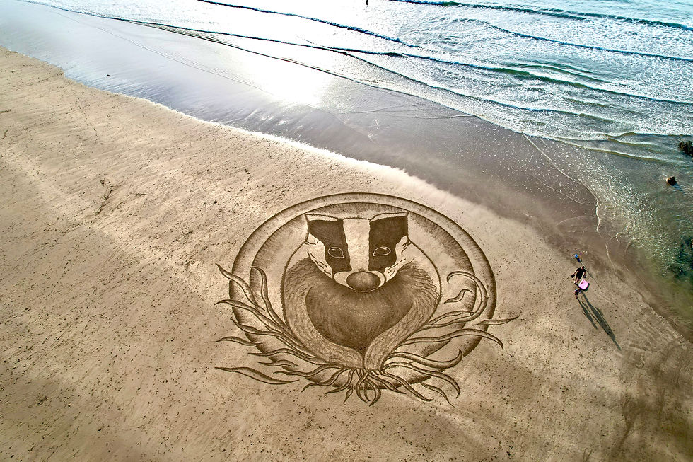 Sand badger on a Devon beach with tide coming in created by sand artist Rachel Shiamh
