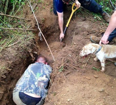Wildlife Crime in Review