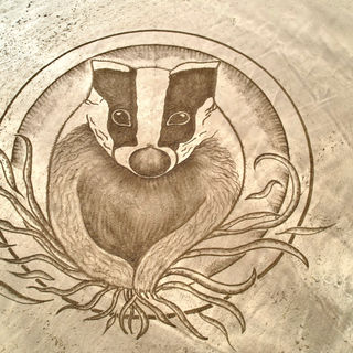 Local extinction of badgers moves closer as badger cull heads for record badger deaths