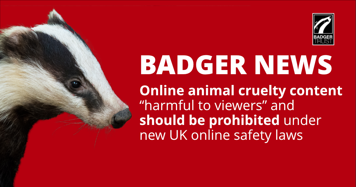 Animal cruelty content “harmful to viewers” and should be prohibited ...