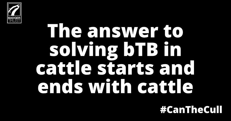The answer to solving bTB in cattle starts and ends with cattle #CanTheCull © Badger Trust 2022