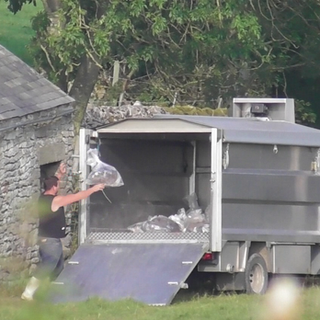 Horrific reality of the badger cull exposed