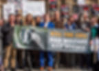 Badger cull protest outside Houses of Parliament