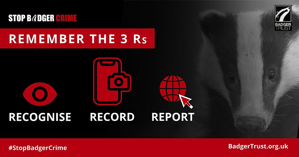 Remember the 3 Rs v1 (Badger Trust Stop Badger Crime campaign)