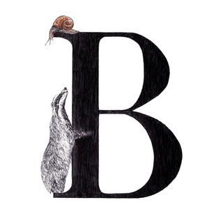 How art can save badgers: celebrating World Art Day