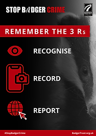Badger Trust Remember the 3 Rs A4 printable poster (Stop Badger Crime campaign)