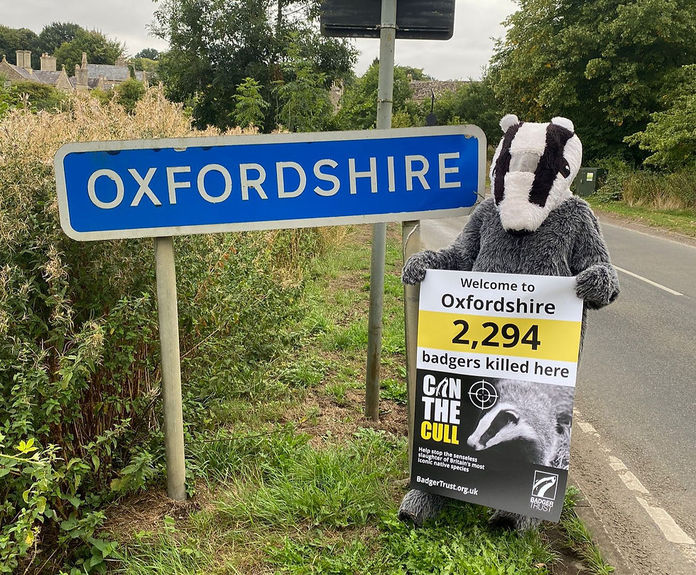 Can the Cull Photoshoot Oxfordshire Badger Group