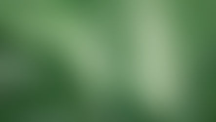 Ecovadis ou B Corp, que choisir ? 🌱