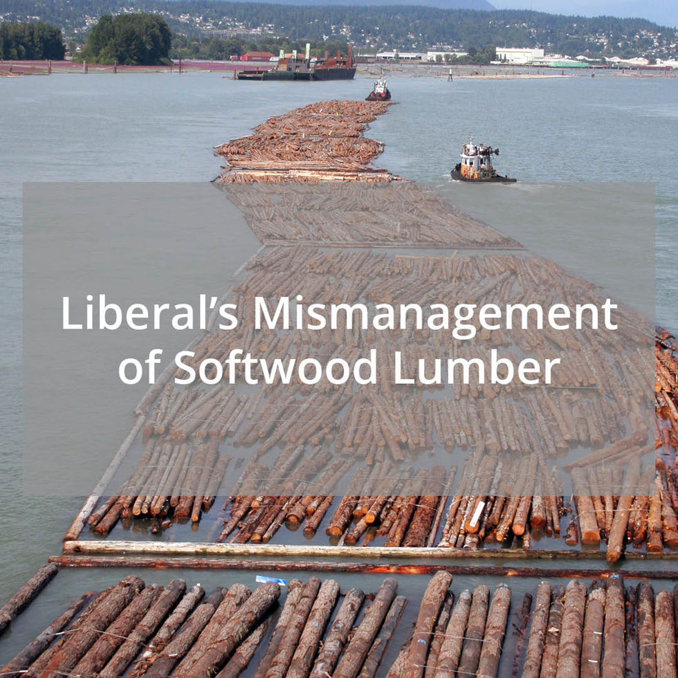 Still No Plan from the Liberals