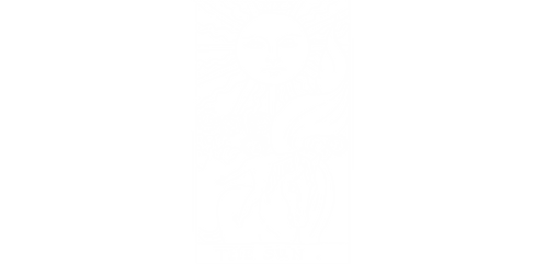 Tracing_2022-11-30-172825.png