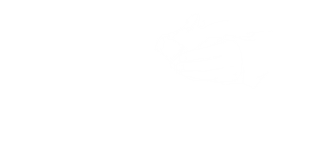 Tracing_2022-11-30-171159.png