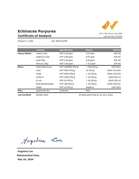 Echinacea Purpurea.jpg