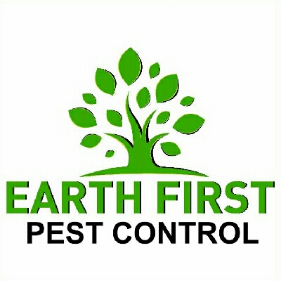 Mice Control | Earth First Pest Control