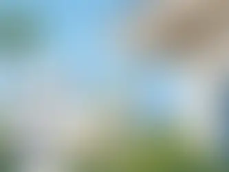 Wasp Nest Removal Safety Tips for California Homes