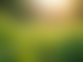 Understanding How Eco Pest Management Works