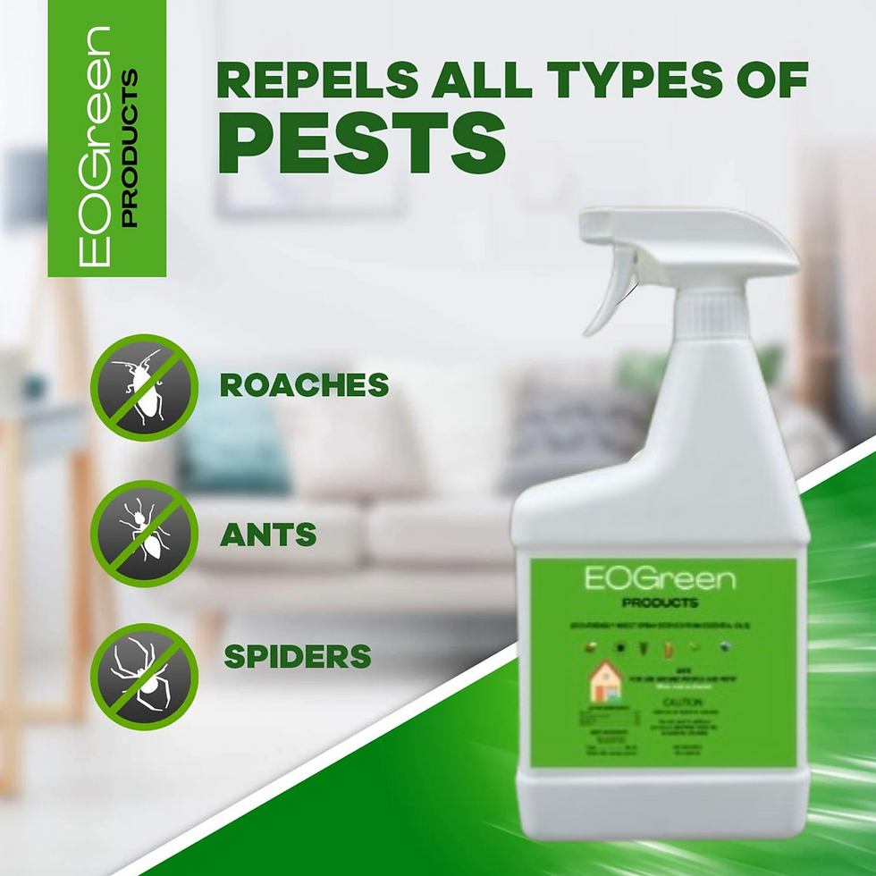 Thumbnail: Ready-to-Use Indoor Insect Spray with Natural Essential Oils
