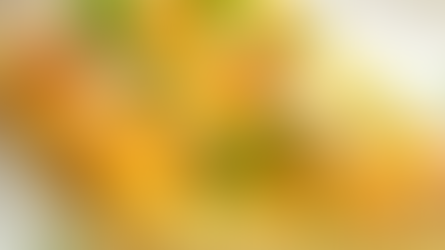 Hashbrown Egg Casserole