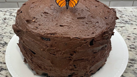 Lucas' Homemade Chocolate Cake