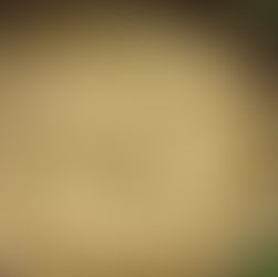 One Pot Creamy Parmesan Chicken and Rice