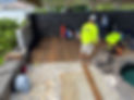 IMG_3981(1).JPEG