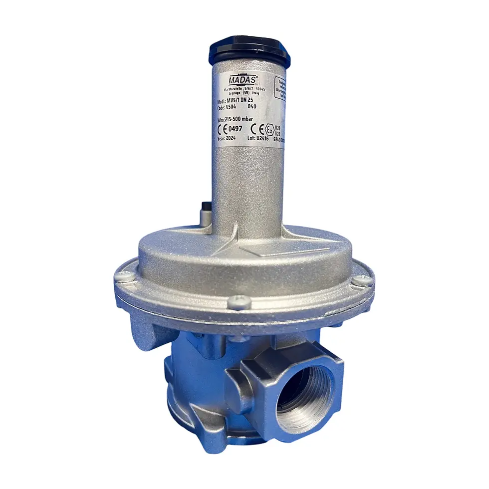 Madas MVS/1 DN 25 gas relief valve.