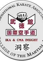 IKA & CMA Insight Logo.png