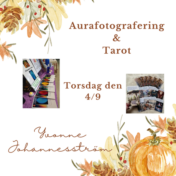 Aurafotograferinng 2025.png
