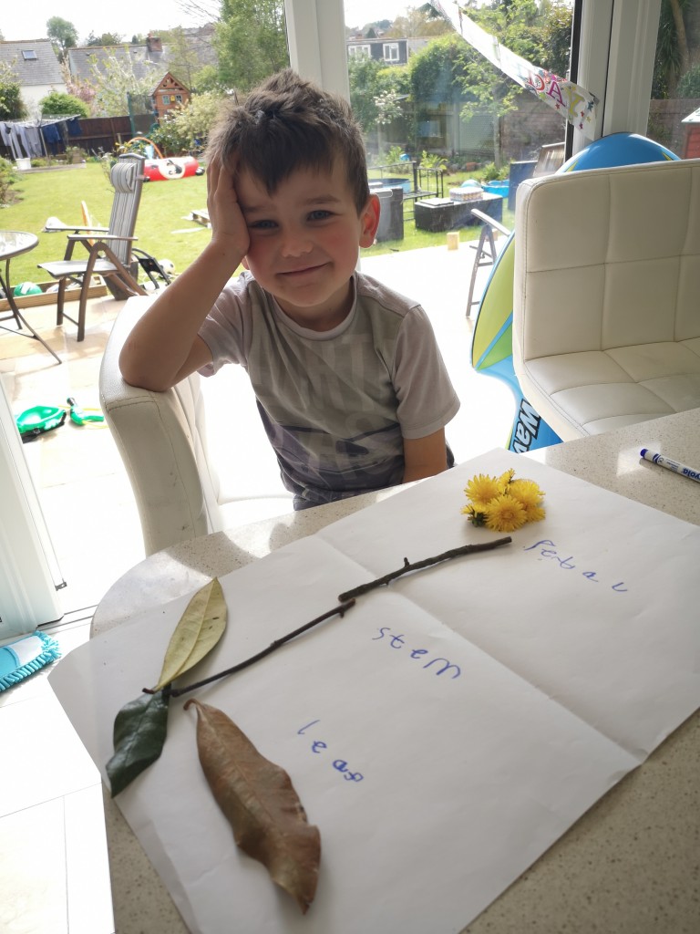 Dragonfly Class