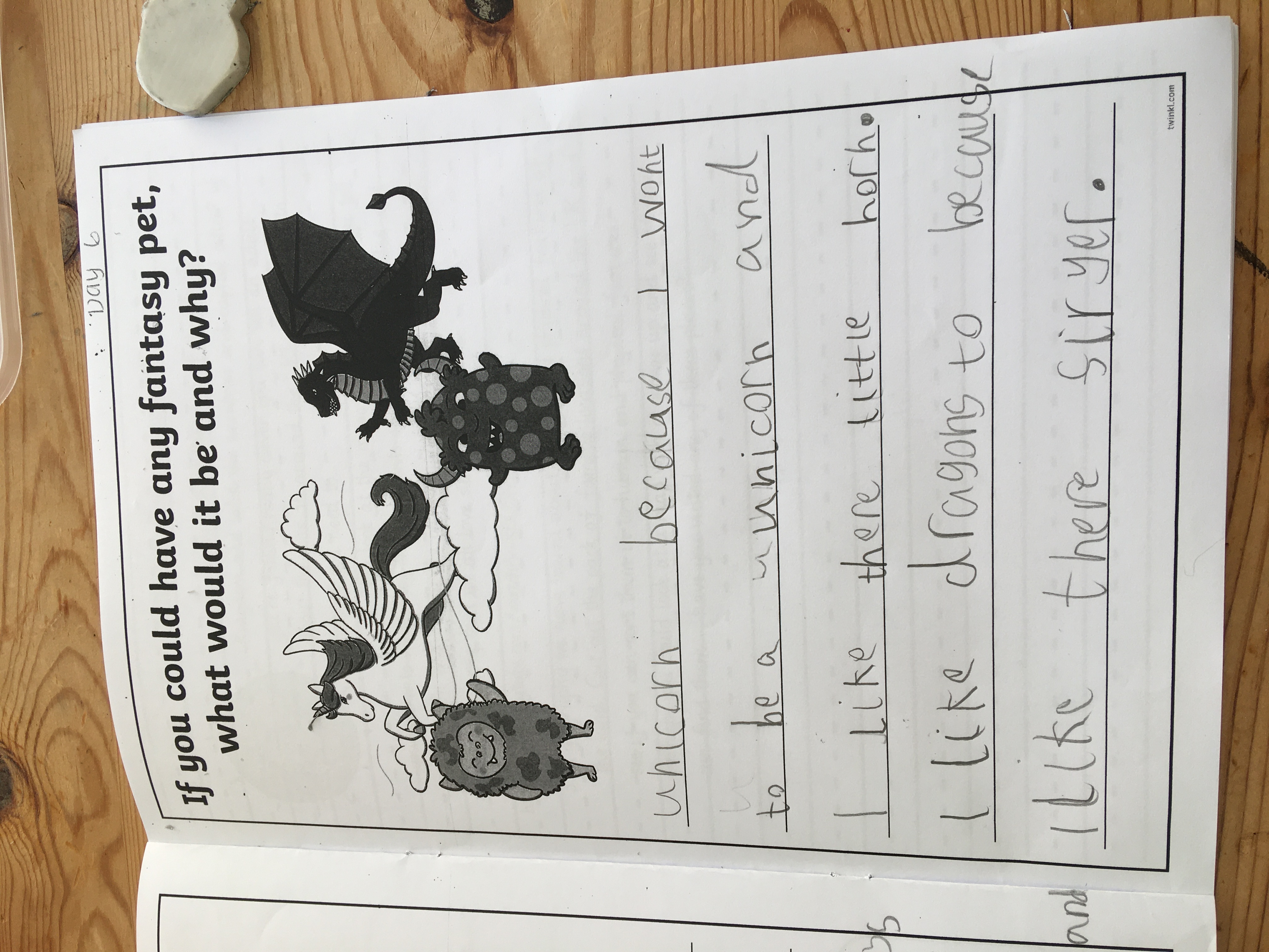 Barn Owl Class