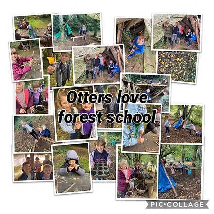 ottersloveforestschoolcollage.png