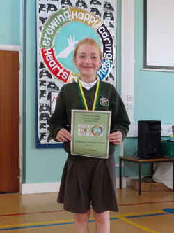 Wellbeing Champion Award