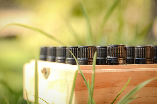 Amber essential oil bottles nestled in wooden storage box with natural green surroundings