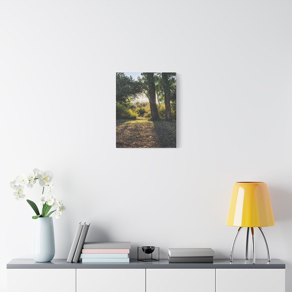 Thumbnail: Sunlit Forest Path Matte Canvas Print — Sweet River Stretched Wall Art Series 