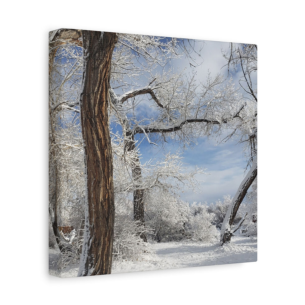 Thumbnail: Winter Woodland Frosted Snowy Landscape - Sweet River Stretched Wall Art Series 