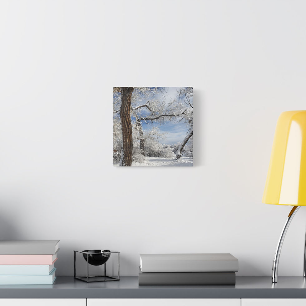 Thumbnail: Winter Woodland Frosted Snowy Landscape - Sweet River Stretched Wall Art Series 