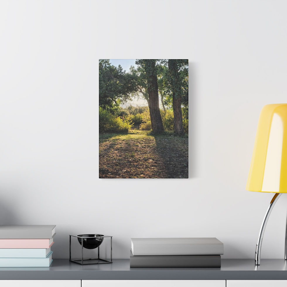 Thumbnail: Sunlit Forest Path Matte Canvas Print — Sweet River Stretched Wall Art Series 