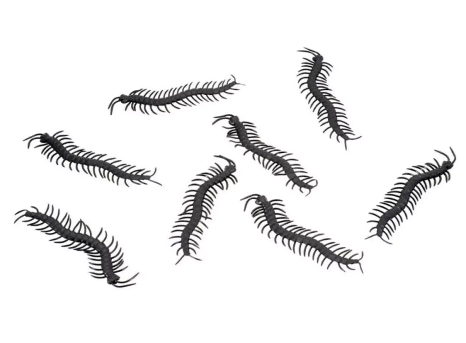 Lot de 8 Mille-pattes Noirs
