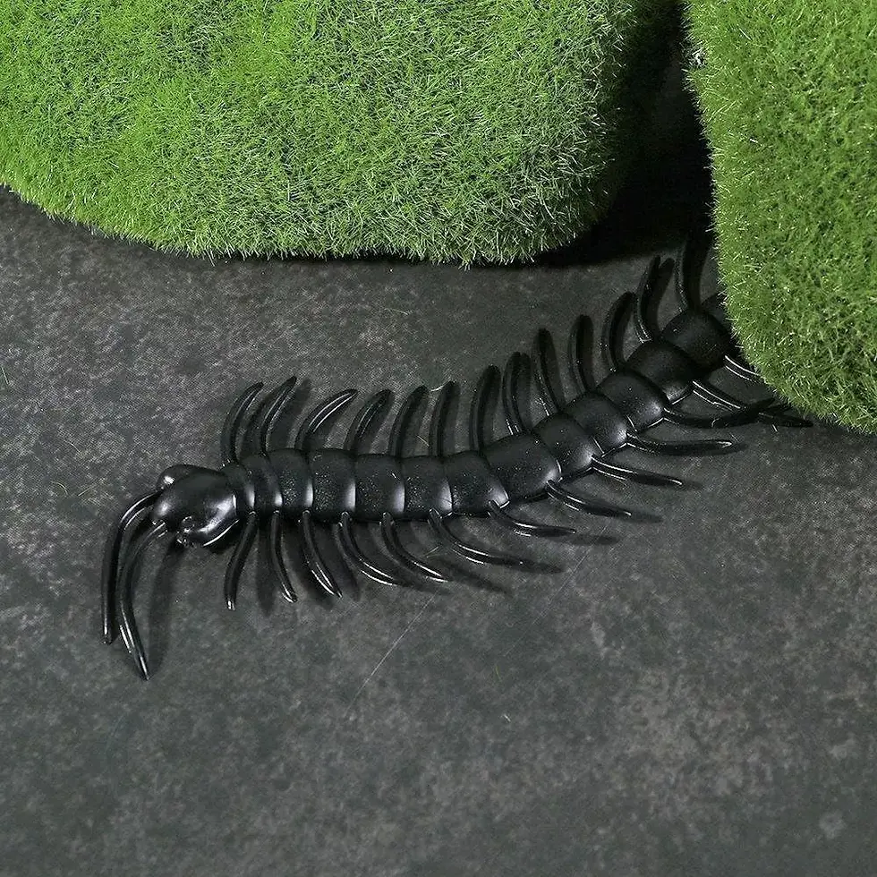 Miniature : Lot de 8 Mille-pattes Noirs