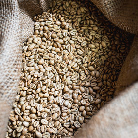 Rohkaffeebohnen in geöffnetem Jutesack – Detail aus der Rösterei
