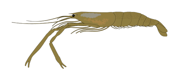 Picture1.gif