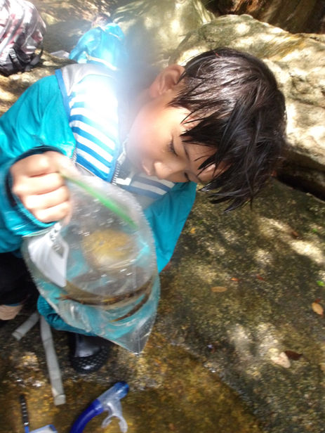 100_0010-2.JPG