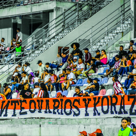 problemáticas y diferencias que siguen afectando la evolución del torneo femenino profesional